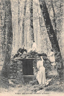 ¤¤   -   LE GAVRE   -  Fontaine De Peteau Dans La Forêt      -  ¤¤ - Le Gavre