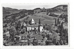 30797 - Château De Blonay Par Avion - Blonay - Saint-Légier