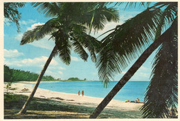 BAHAMAS - CARTOLINA FG SPEDITA NEL 1982 - BEACHES - LA SPIAGGIA - Bahamas