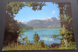 Sarnersee Mit Giswilerstock - Color-Foto Reinhard, Sachseln - # C 621 - Giswil