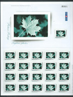 Canada - # 2064 Full Pane Of 21 -  Picture Postage / Picture Frame - Volledige & Onvolledige Vellen