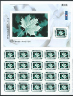 Canada - # 2063 Full Pane Of 21 -  Picture Postage / Silver Ribbon - Feuilles Complètes Et Multiples