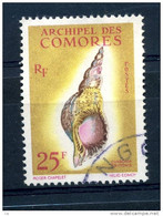 Comores  :  Yv  24  (o)  Coquillages   ,   N2 - Used Stamps