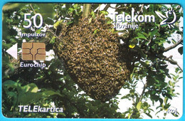 BEES ... Slovenian Old Rare Card * Honeybee Abeille Bee Biene Abeja Ape Bienen Api Abejas Abelhas Abeilles Honeybees - Abejas