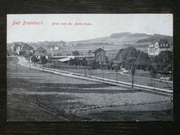 AK BAD BRAMBACH - Blick Nach Den Badeanlagen - Ca. 1910 - Bad Brambach