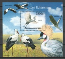 Comores 2011 Mi Block 627 MNH BIRDS - STORCH - HERON - Flamingo's