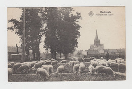 Dadizeele  Dadizele  Moorslede  Herder Met Kudde   BERGER MOUTONS - Moorslede