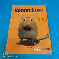 Heike Schmidt Röger - Rennmäuse - Animales