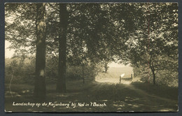 Landschap Op De Keijenberg Nabij Nol In 't Bosch , Renkum -  USED 2 Scans For Condition.(Originalscan !!) - Renkum