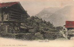 Chalet à Salvan - Salvan