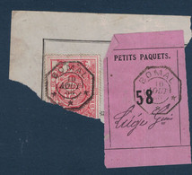 FRAGMENT Avec ETIQUETTE PETITS PAQUETS TIMBRE CHEMINS DE FER CACHET BOMAL > LIEGE 1888 - Documenten & Fragmenten