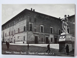 CP Italie - Urbino - Palarro Ducale - Facciata D'ingresse - Urbino