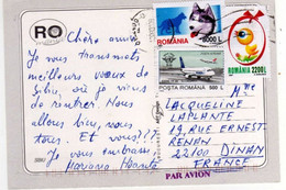 Timbres , Stamps   " Avion : Boeing 737 , Animaux : Chien Husky , Poussin " Sur Cp , Carte , Postcard Du 18/09/01 - Briefe U. Dokumente