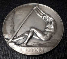 BELGIQUE MEDAILLE  L'EFFORT HOMMAGE DE GRATITUDE DES ACIERIES ET MINIERES DE LA SAMBRE A DELAUW ARMAND OCTOBRE 1962 - Professionals / Firms