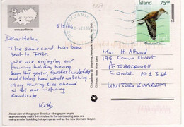 Timbre , Stamp Yvert N° 1007 " Animal : Oiseau " Sur Cp , Carte , Postcard Du 09/05/2006 - Brieven En Documenten