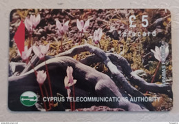 CYPRUS USED PHONECARD FLOWER - Zypern
