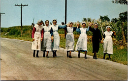 Pennsylvania Amishland Seven Amish Girls In Colorful Garb - Lancaster
