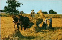 Pennsylvania Amishland Golden Harvest Time Amish And Mennonite Farmers Harvesting Wheat - Lancaster