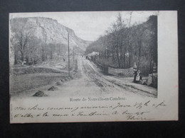 CP BELGIQUE (V2210) Route De NEUVILLE EN CONDROZ (2 Vues) Editeur Thiry Engis - 1902 - Neupré