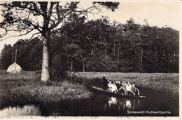 CPA Suisse - Dorneck - Spreewald - Hochwaldpartie - Oblitérée Sommerfrische Burg - Echte Photographie - Animée - Wald