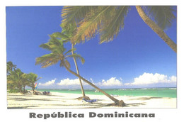 Republica Dominicana:Punta Cana, Beach - Dominican Republic