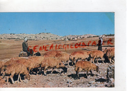 JORDANIE - JORDAN- BETHLEHEM - SHEPHERD'S FIELD - Jordanië