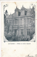 ZOTTEGEM   CHATEAU DU COMTE D'EGMONDT   2 SCANS - Zottegem