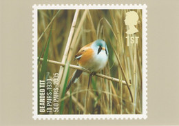 Great Britain 2007 PHQ Card Sc 2499 1st Bearded Tit - Cartes PHQ