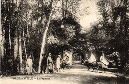 CPA AK ORLEANSVILLE La Pepiniere ALGERIE (1188904) - Chlef (Orléansville)