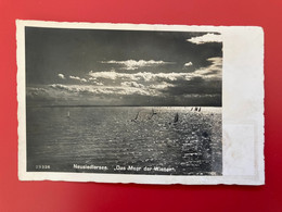 Neusiedlersee Das Meer Der Wiener 4613 - Neusiedlerseeorte