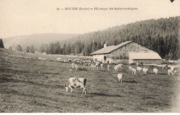 25 - MOUTHE - S02764 - Pâturage Des Hautes Montagnes - Vaches - Agriculture - L1 - Mouthe
