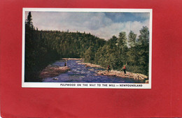 CANADA--NEWFOUNDLAND---Pulpwood On The Way To The Mill---voir 2 Scans - Other & Unclassified