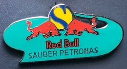 FORMULE 1 - F1 - FORMULA ONE - CAR - VOITURE - SAUBER PETRONAS - RED BULL - TAUREAUX - EGF - AUTO - AUTOMOBILE  - (30) - F1