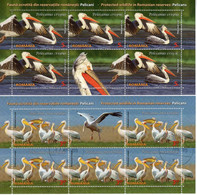 ROMANIA 2022:  BIRDS - PELICANS 4 Used Small Sheets - Registered Shipping! - Oblitérés