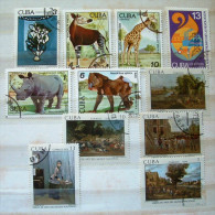 Cuba 1978 - 1979 - Animals Okapi Giraffe Rhinoceros Monkey Paintings - Storia Postale