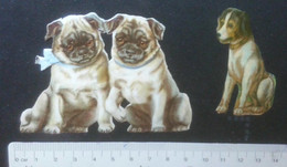 ► Lot CHIEN CARLIN  Découpis époque Victorienne XIXe "Victorian Die-cuts" - Dieren