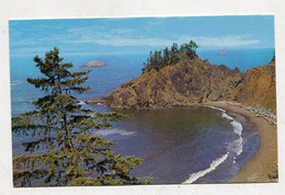 AK 099389 USA - Oregon Coast - Crook Point At Pistol River - Altri & Non Classificati