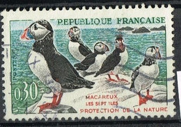 FR VAR 54 - FRANCE N° 1274 Obl. Macareux Variété Lettres évidées - Gebraucht