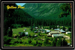 Idaho Yellow Pine Panoramic View - Andere & Zonder Classificatie