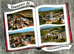 Châteauneuf De Randon * Souvenir Du Village * Cp 4 Vues - Chateauneuf De Randon