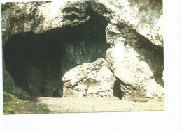 Jemeppe Sur Sambre Grotte De L'Homme De Spy - Jemeppe-sur-Sambre