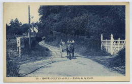 Montsoult, Entrée De La Forêt - Montsoult