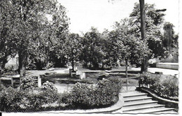 Evaux Les Bains - Le Jardin Public - Cachet Poste 1951 - Evaux Les Bains