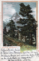 SWITZERLAND - ARVEN MATTERHORN - MONTE CERVINO - CARTOLINA FP SPEDITA NEL 1905 - Matt