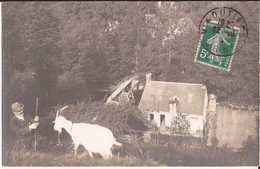 61 Carte Postale Postée De Vimoutiers 1910 Chasse Chasseur ? Chevre Goat - Vimoutiers