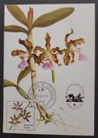 O) 1980 BRAZIL, CATTLEYA ORCHID, ESPAMER 80, AMERICAN EUROPEAN PHILATELIC EXHIBITION, MAXIMUM CARD - Maximumkarten