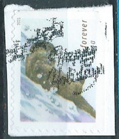 VEREINIGTE STAATEN ETATS UNIS USA 2021 OTTERS IN THE SNOW: OTTERS IN THE SNOW 2 F USED ON PAPER SN 5649 MI 5882 YT 5492 - Used Stamps