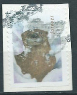 VEREINIGTE STAATEN ETATS UNIS USA 2021 OTTERS IN THE SNOW: OTTERS IN THE SNOW  F USED ON PAPER SN 5651 MI 5884 YT 5494 - Used Stamps