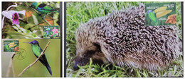 O) 2011 BRAZIL, BIRDS, TANGARA, THALORENIA, PORCUPINE COENDOU, ORCHID, MAXIMUM CARD - Maximumkaarten