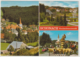 Schonach, Hochschwarzwald, Baden-Württemberg - Hochschwarzwald